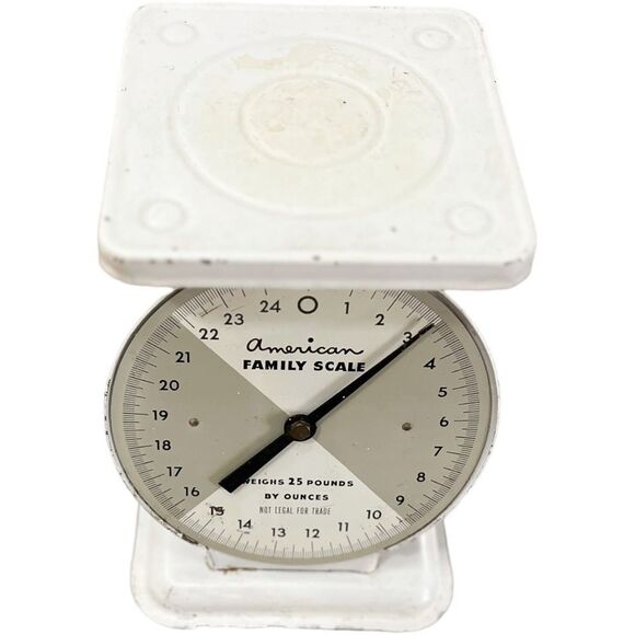 VINTAGE American Family White Farmhouse  Decorative Kitchen Scale & Faux Plant. - Picture 3 of 8